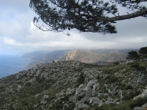 IMG_5075 (Medium)
